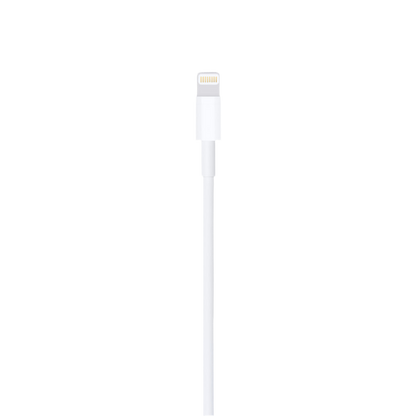 Câble Lightning vers USB